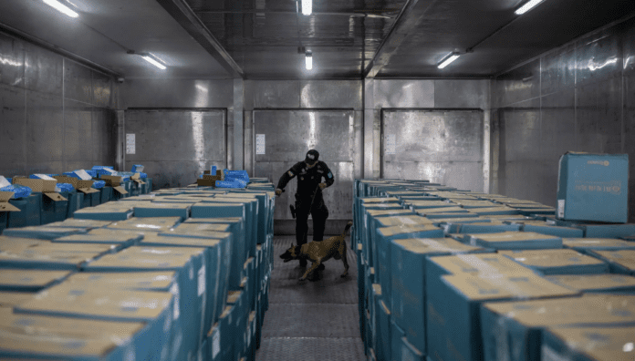 Un agente de policía inspecciona cajas de camarones de exportación en Guayaquil