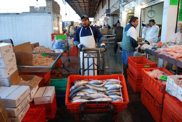 En la Ciudad de México, se encuentra el mercado La Nueva Viga, ahí se pueden encontrar más de 500 especies de pescados y mariscos